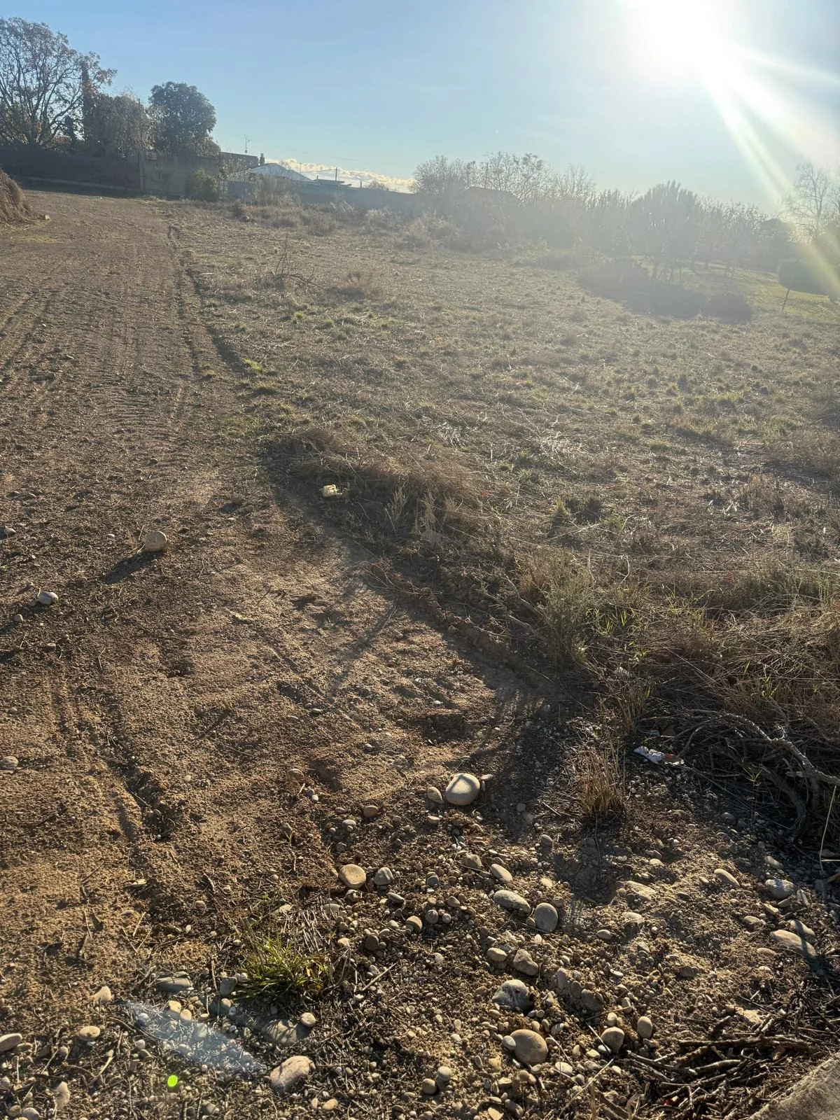 Urban plot in El Saso, 1,237 m²