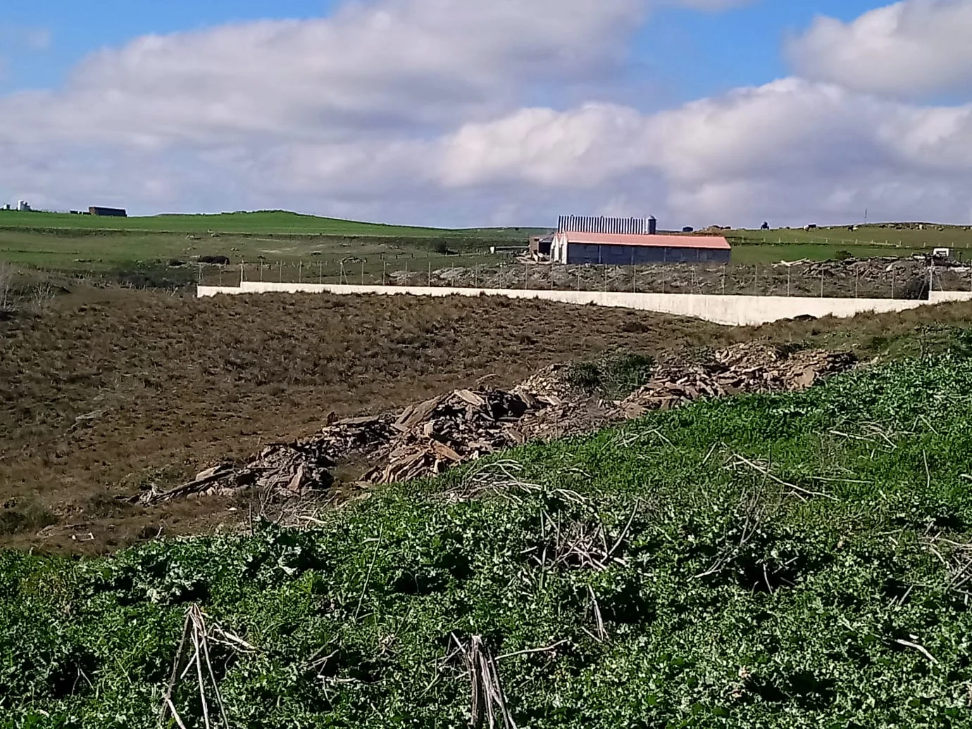Gran finca mixta cerca de Terradillos