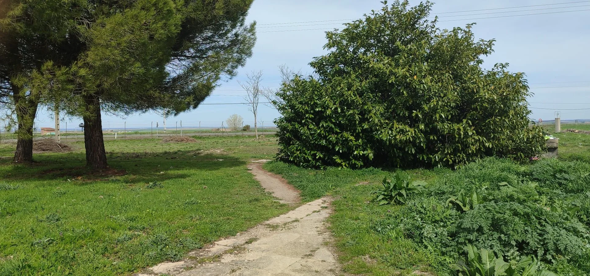 Developable plot near Castellanos village