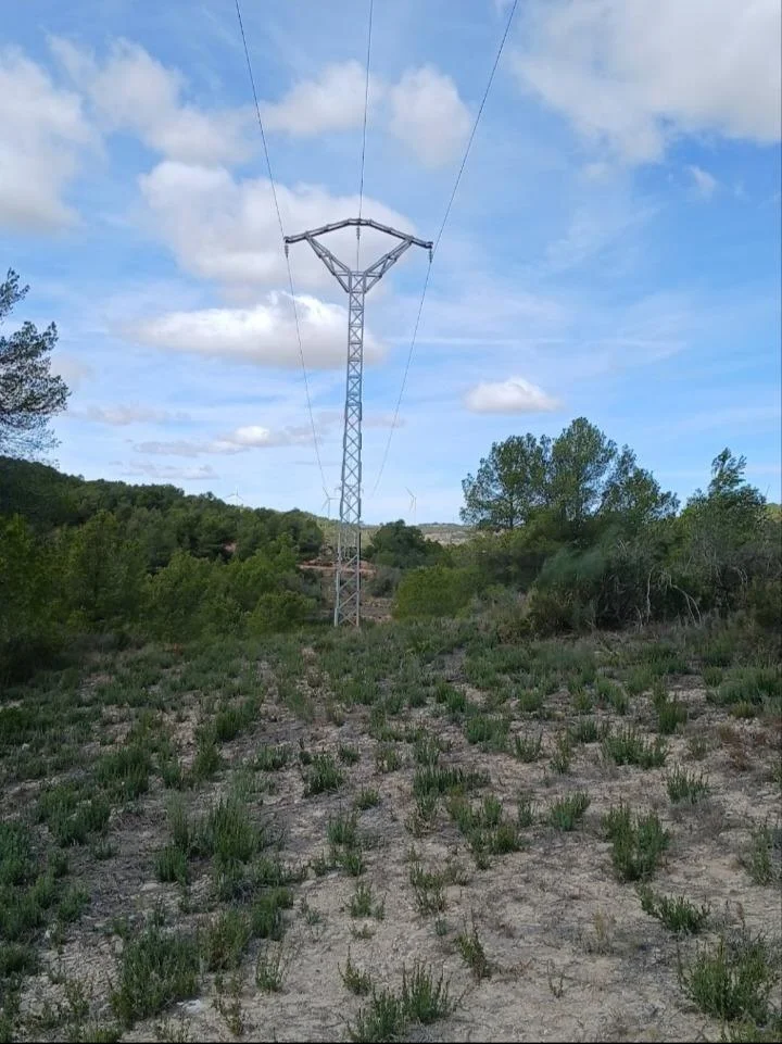 Gran finca rústica en Corbera d'Ebre