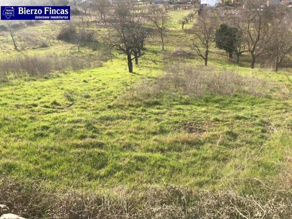 Rural plot near Toral, 2,270 m²