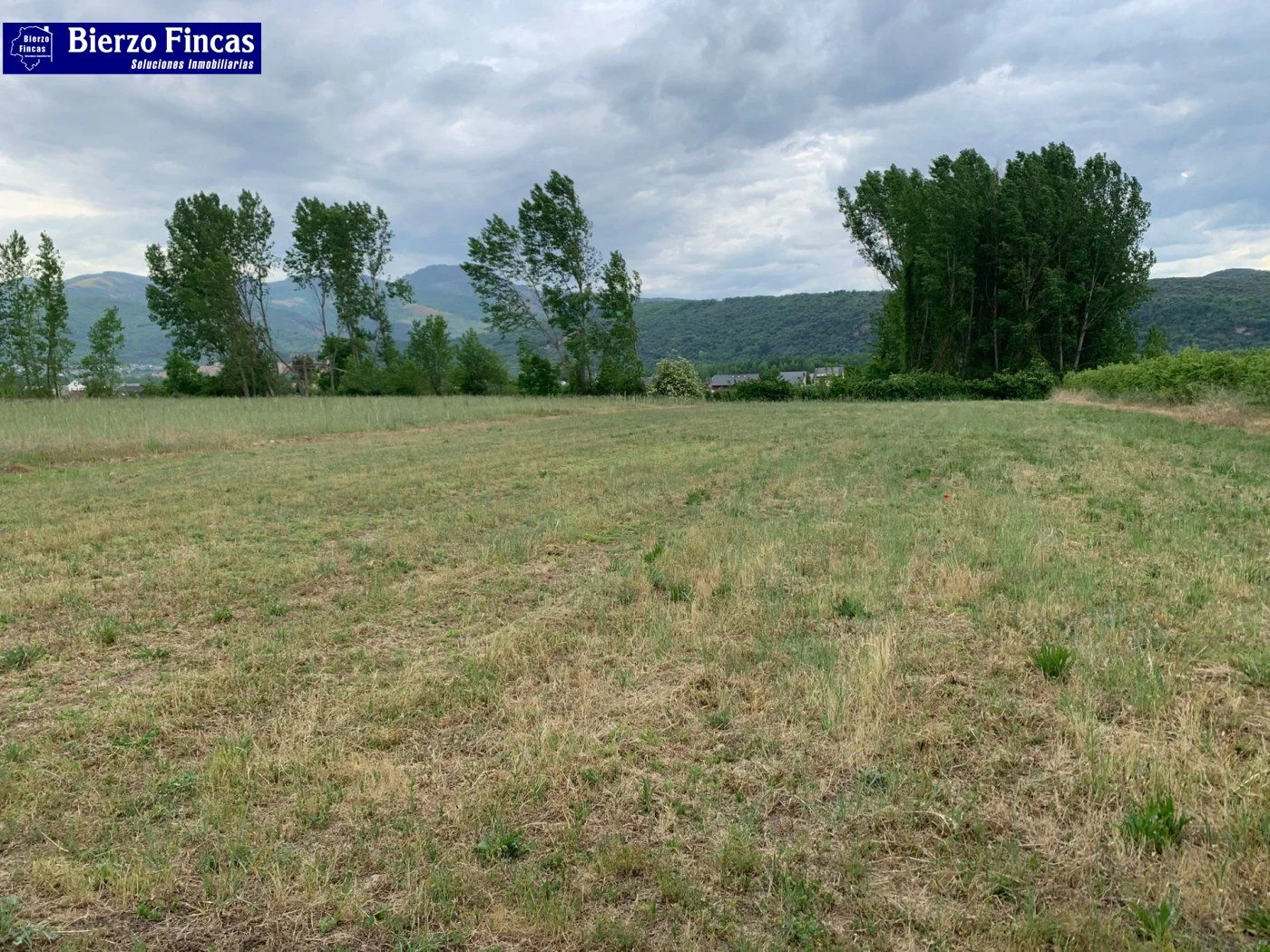 Level rural plot with fruit trees