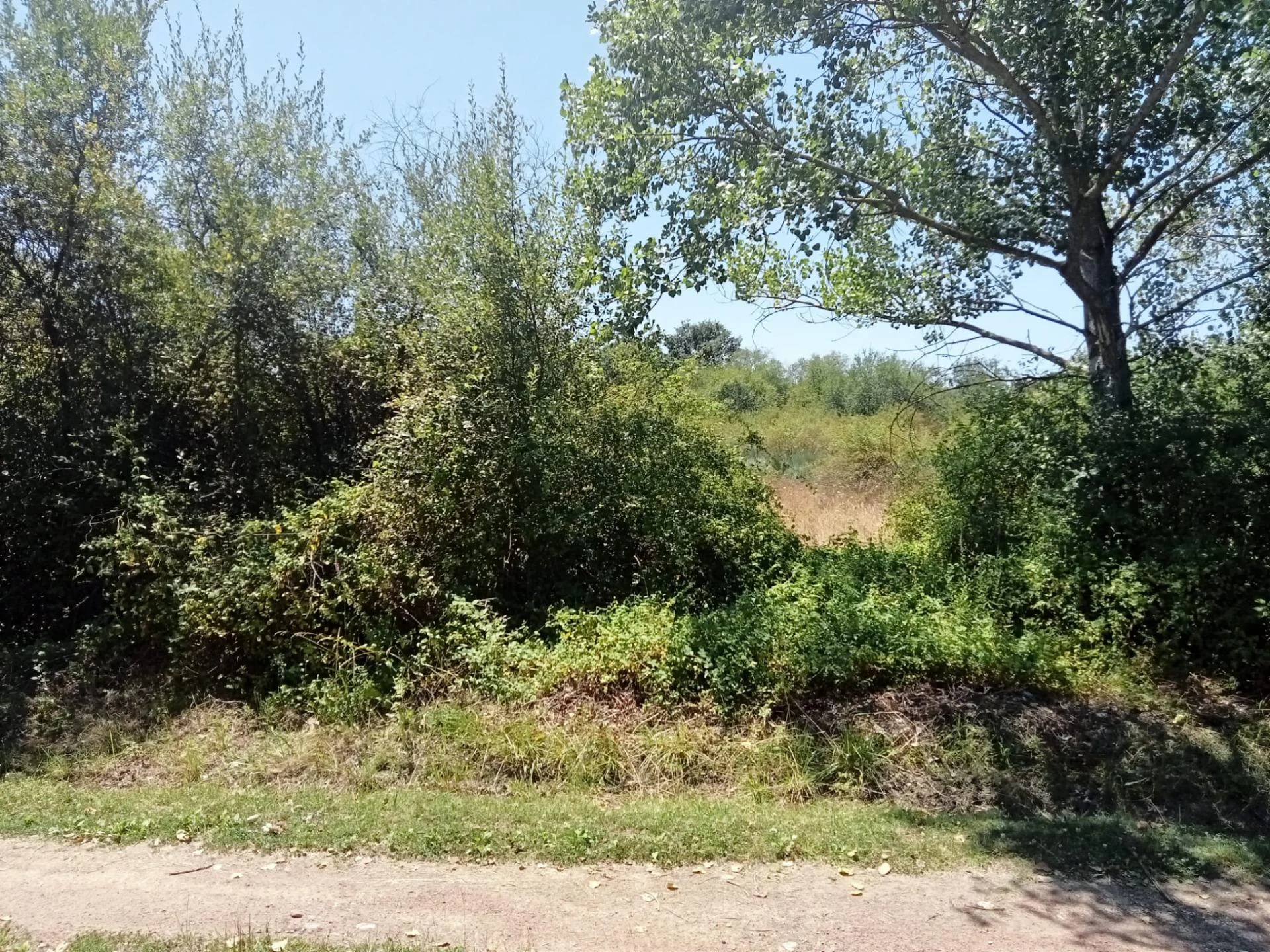 Gran parcela rural cerca de Ponferrada