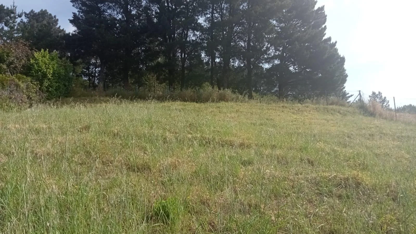 Land with mountain views in Ponferrada
