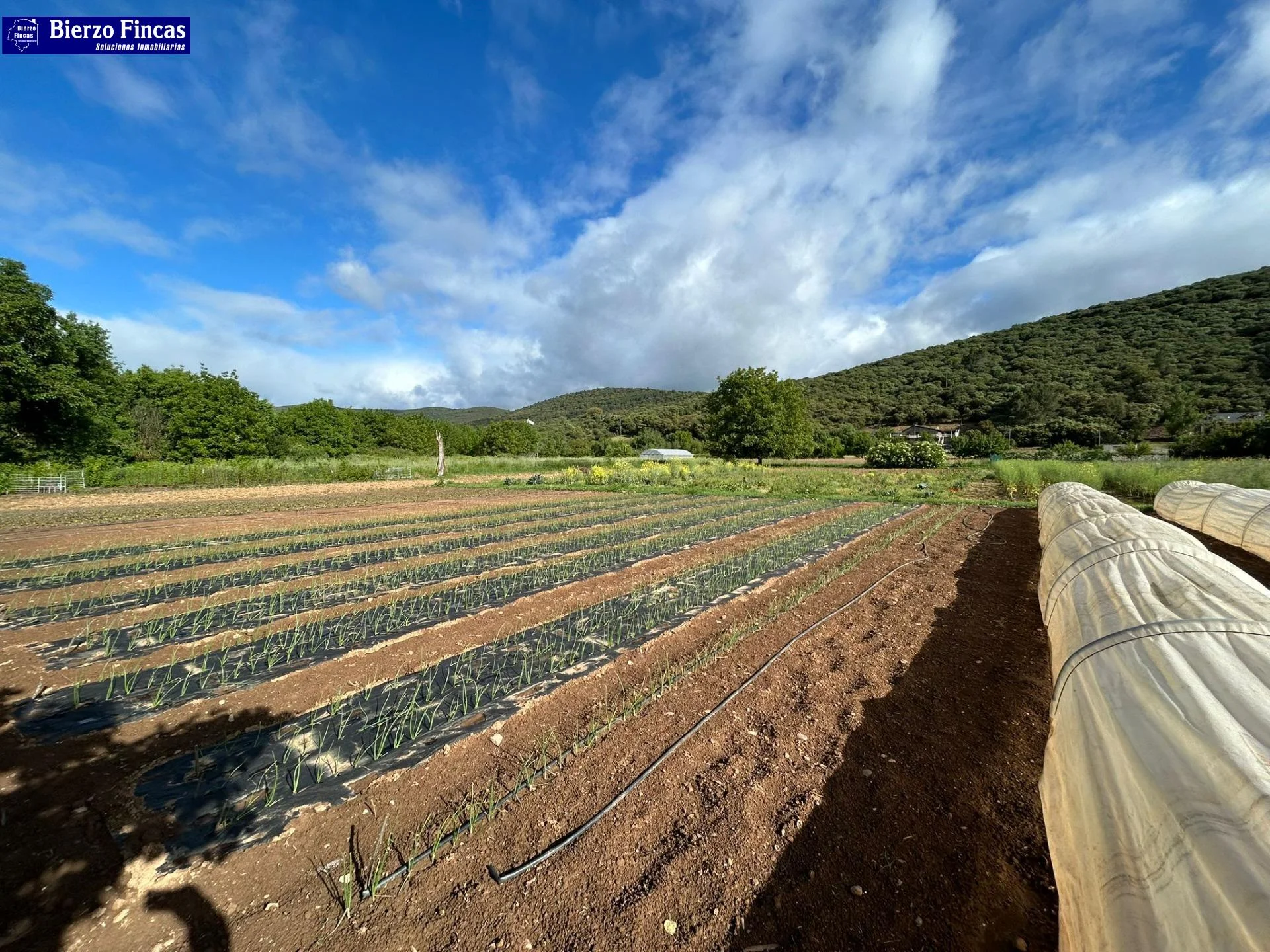 Rural plot near Carucedo, 1,223 m²