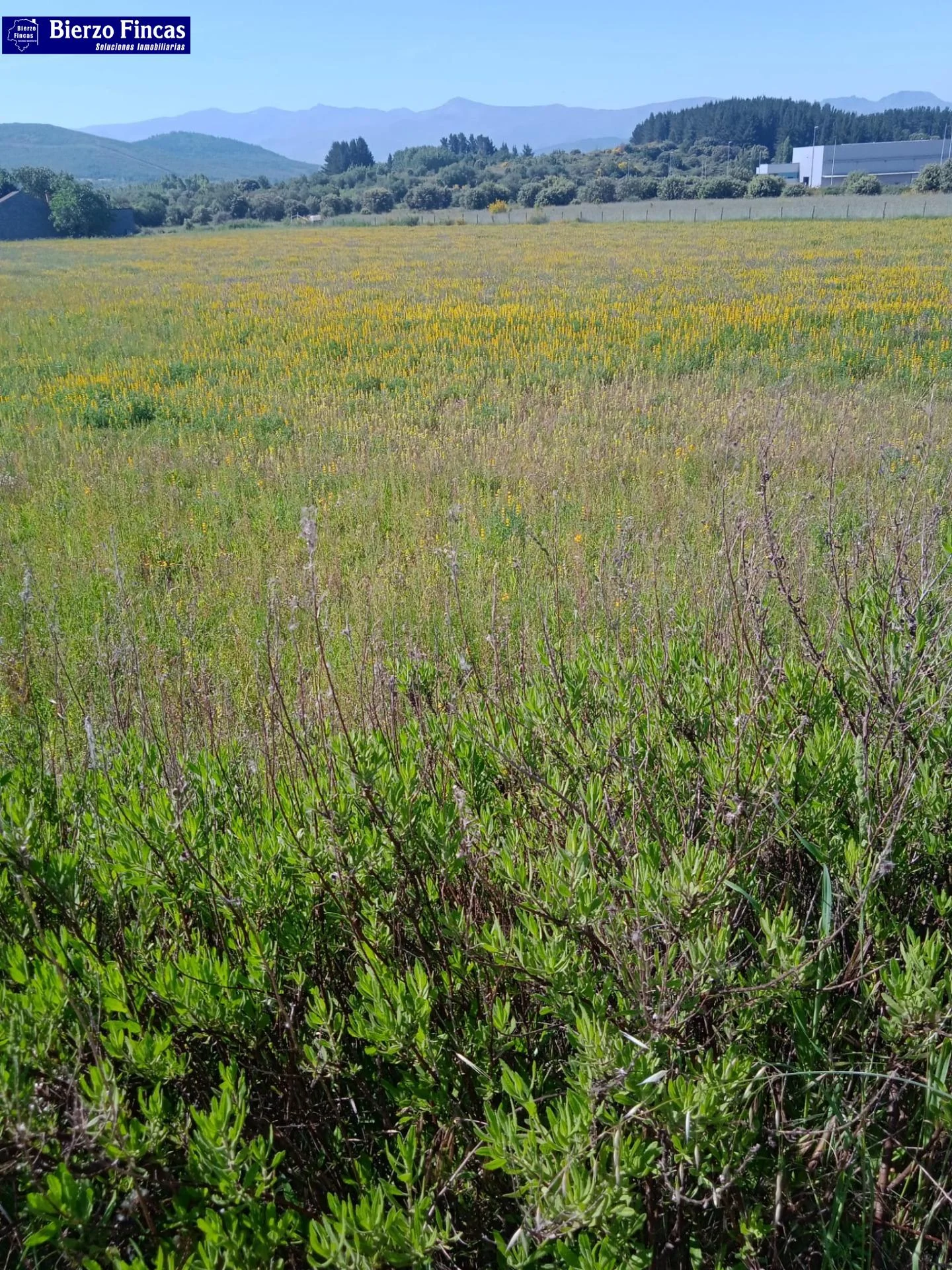 Rural land in El Valle, 5,825 m²