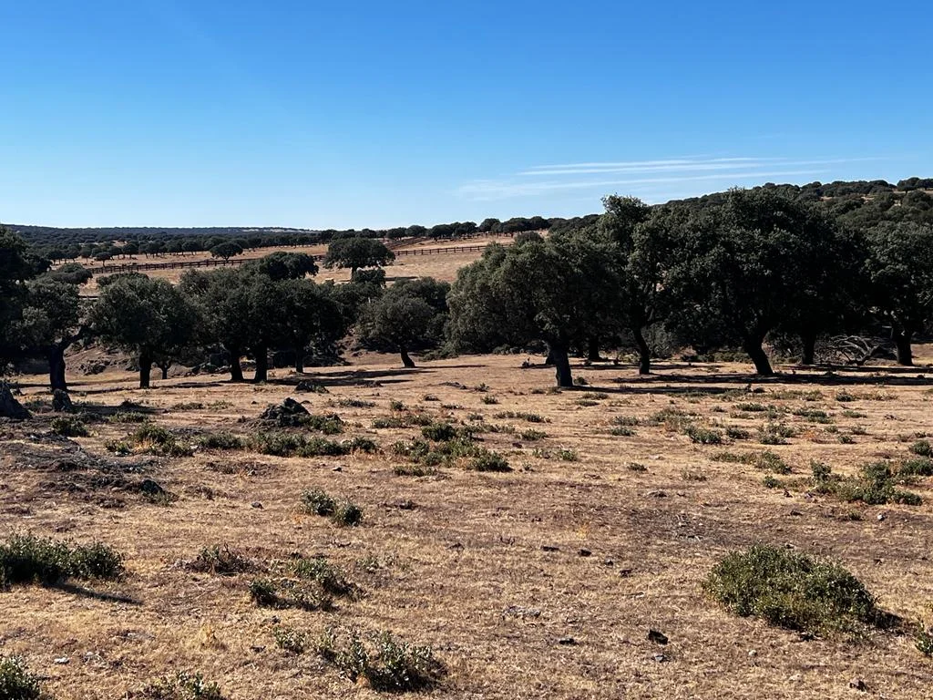 Finca ganadera con licencia vigente