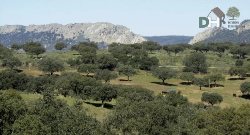 Large rural estate with livestock facilities