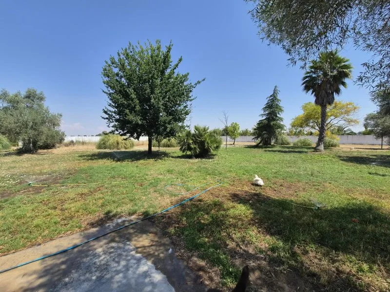 Badajoz chalet with guest house