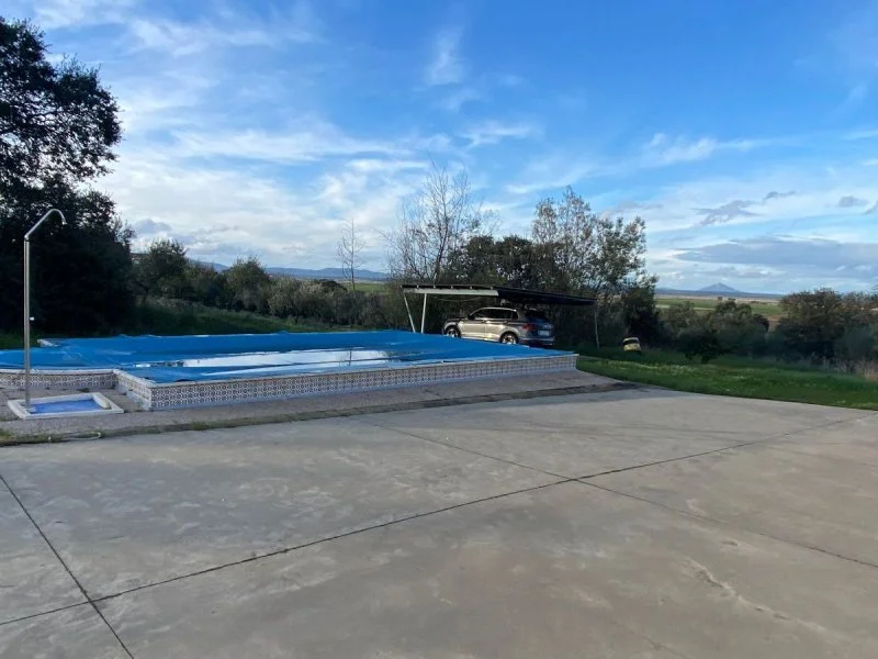 Chalet with olive grove and pool