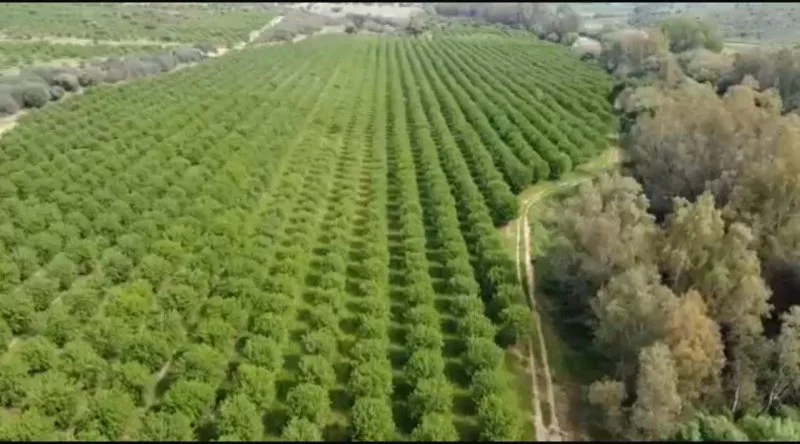 Finca rústica regadío con derechos de agua