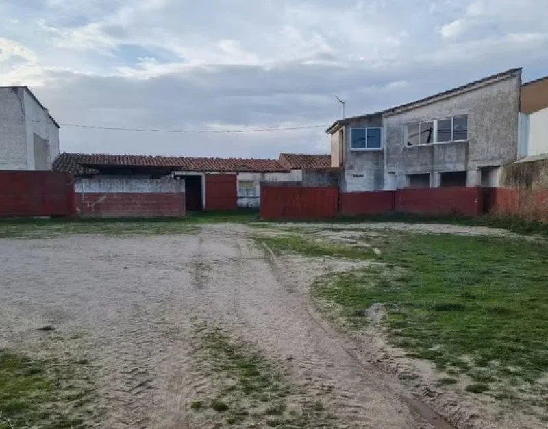 Edificio ecuestre urbano con 14 boxes