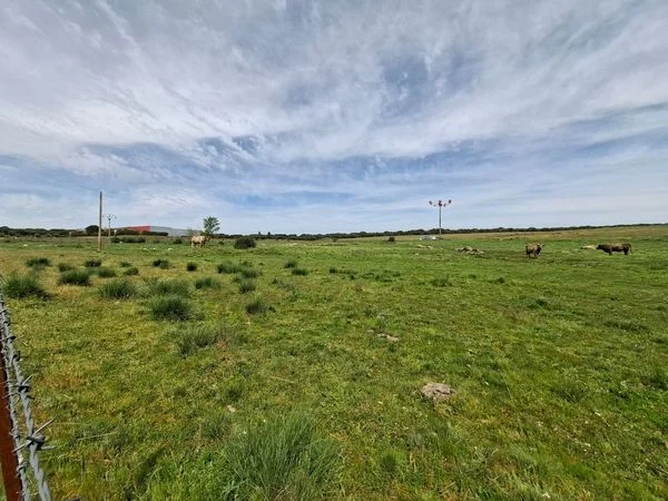 Rural plot with animal pond