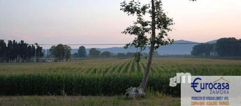 Finca de regadío cerca de Villalazán