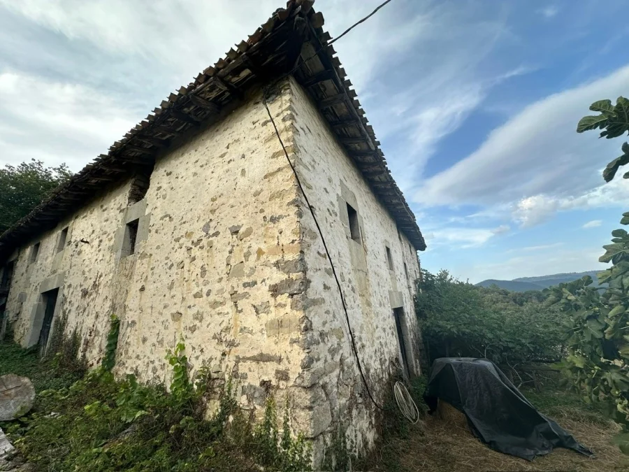 Large renovation farmhouse in Respaldiza