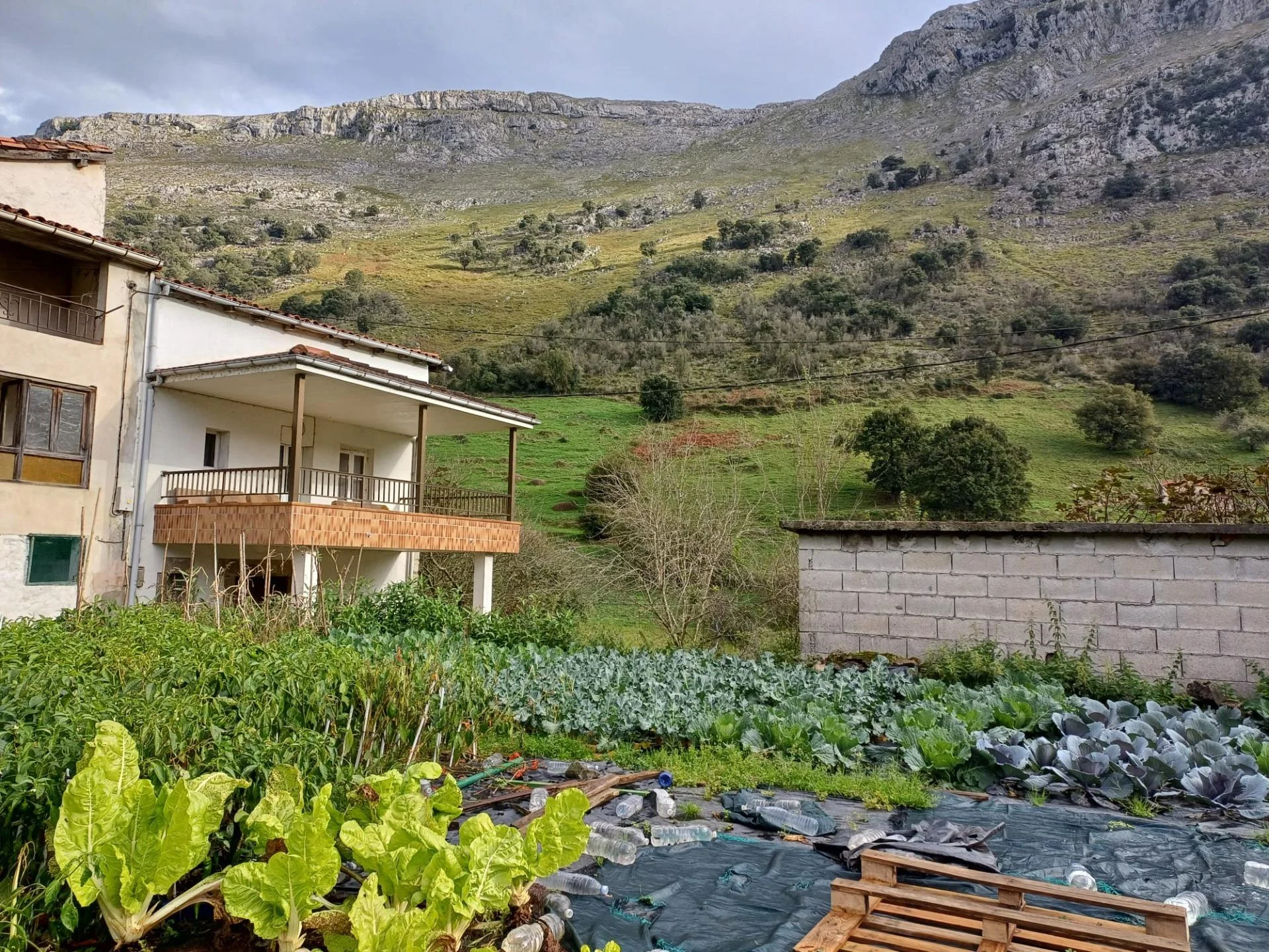 Stone house with large plot