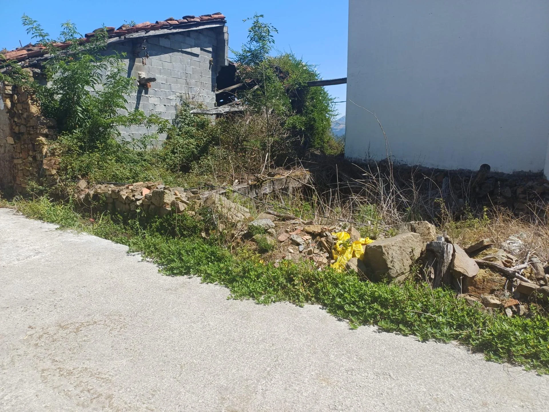 Ruin House With Paid Renovation Project