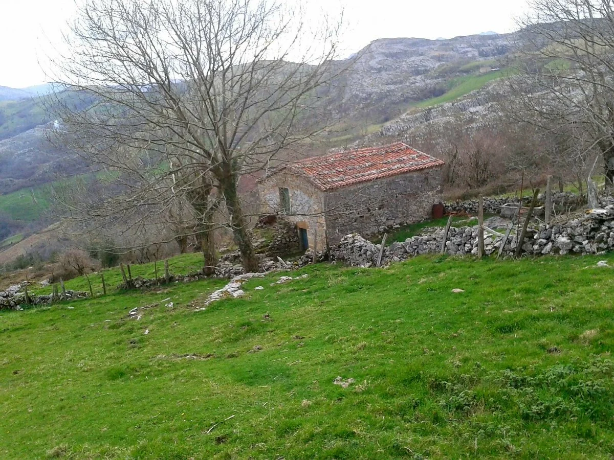 Finca rústica con cabaña de piedra