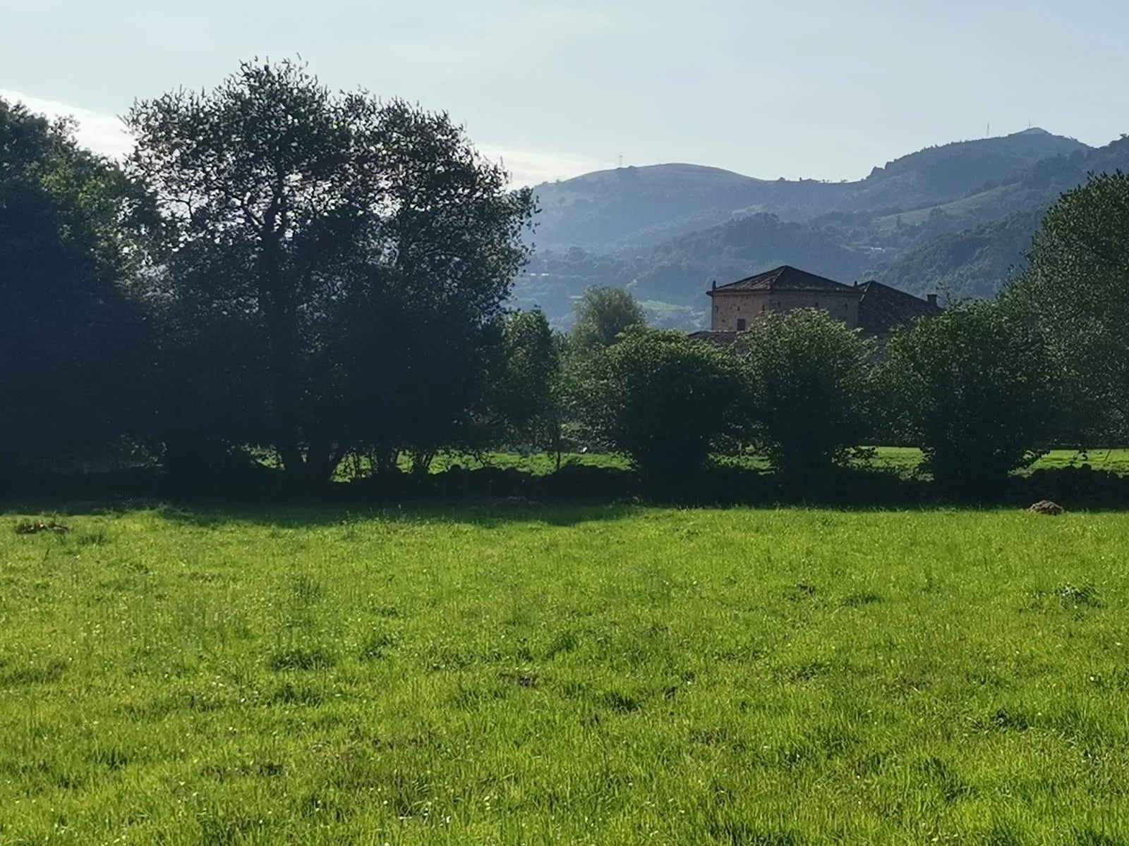 Developable Saro plot with approved project