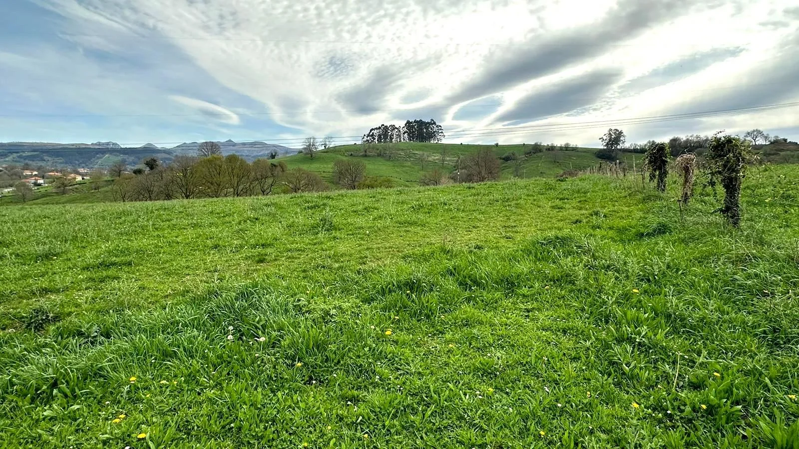 Urbanizable plot with licensed project