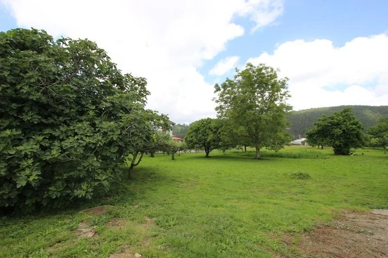 Urban plot in Ontoria, 1,500 m²