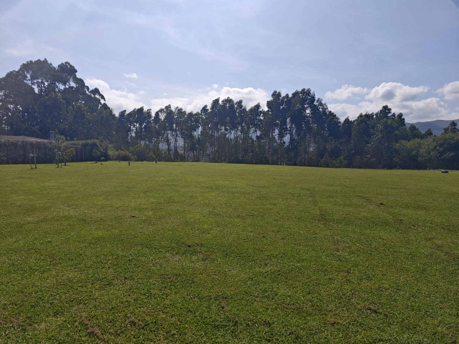 Urban plot in Pimiango, 1,208 m²