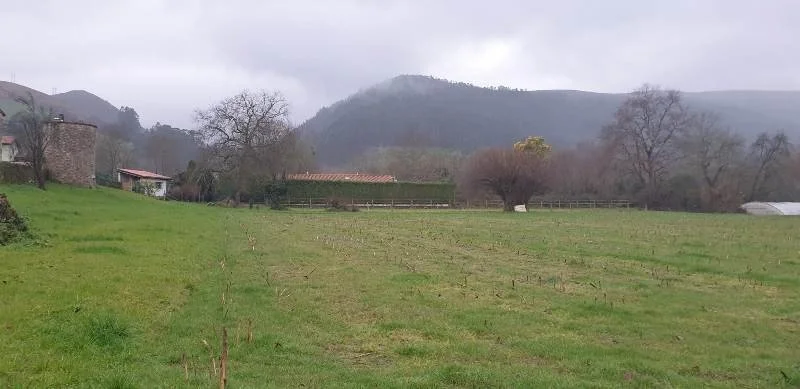 Terreno urbano para ocho chalets