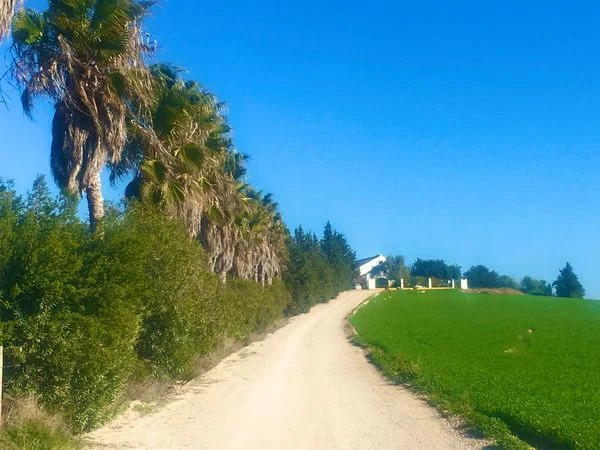 Finca ecuestre con 21 hectáreas