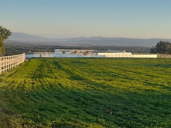 Finca rústica nueva con instalaciones ecuestres