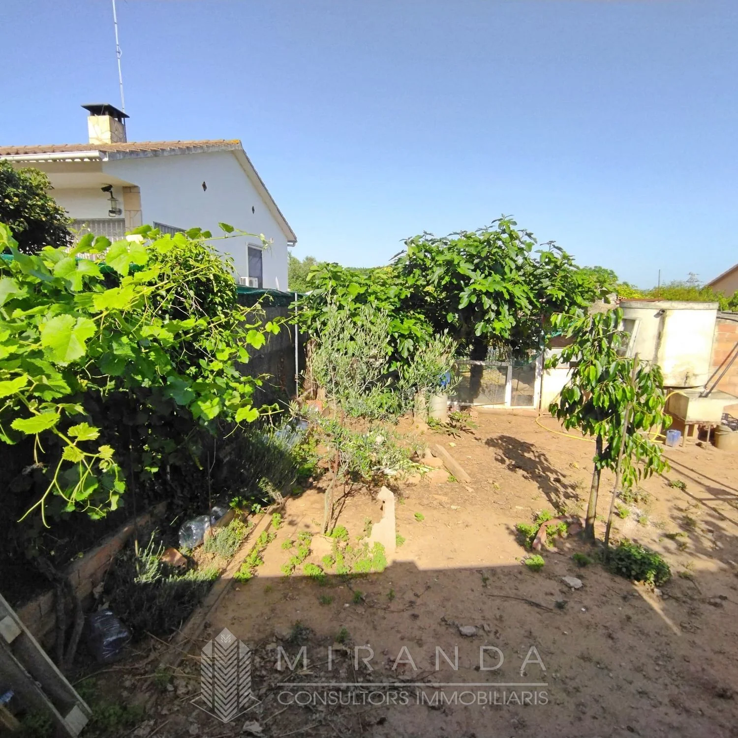 Flat 550 m² urban plot
