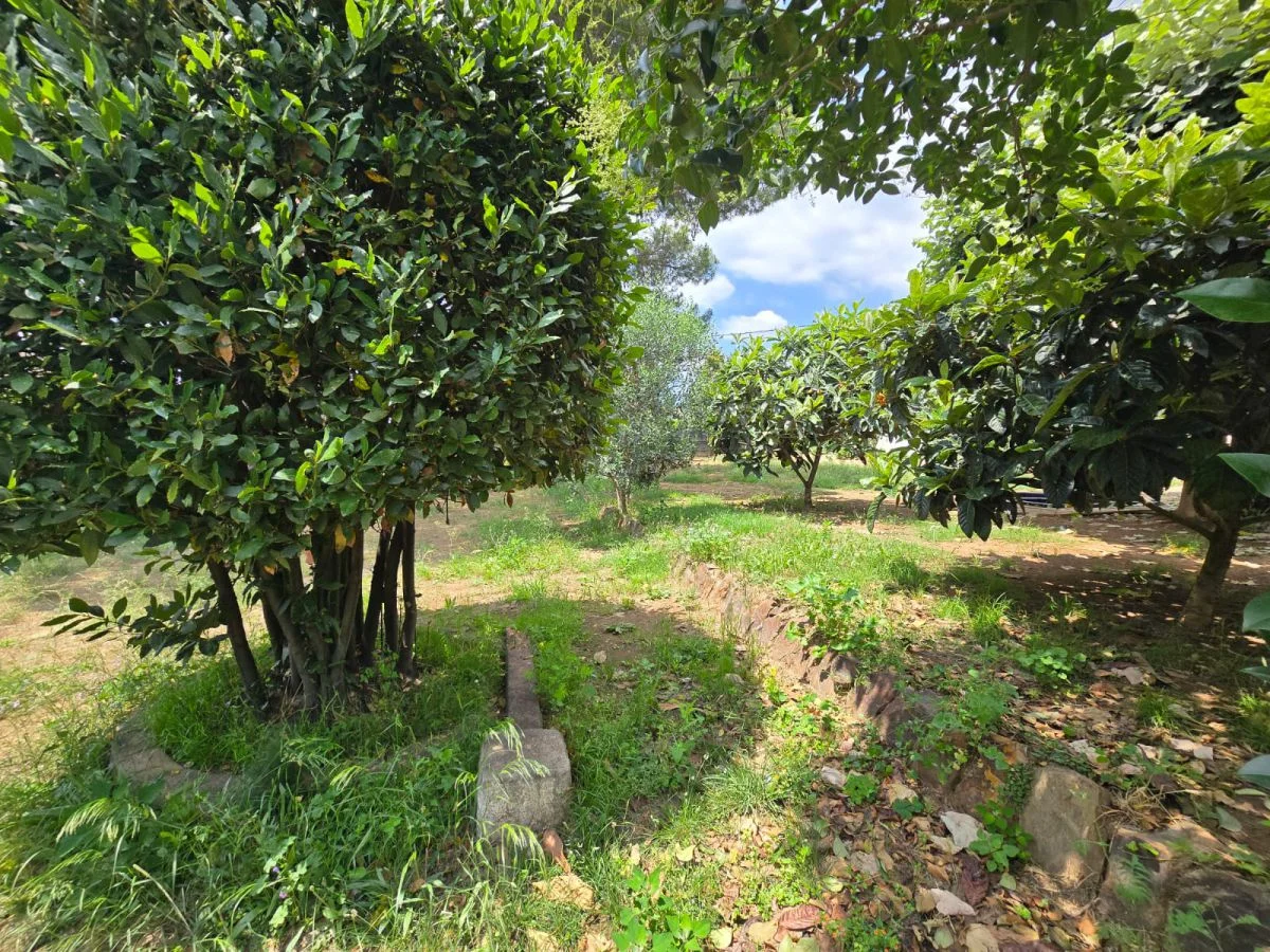 Buildable plot in Montseny, 604 m²