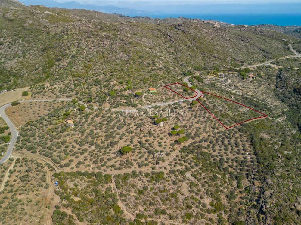 Rustic Cadaqués plot with sea views