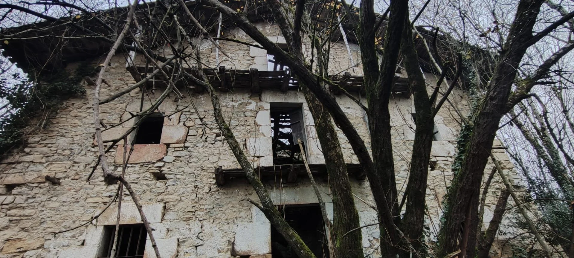 Rural house with 10,000 m² plot