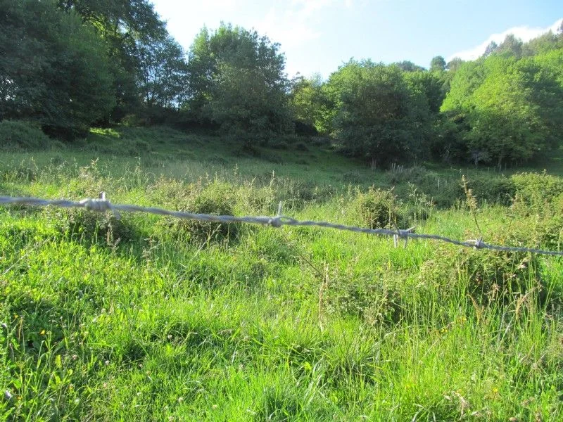 Terreno rural en Zamudio, 31.023 m²