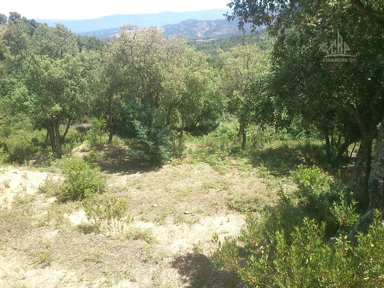 Llagostera plot with approved project