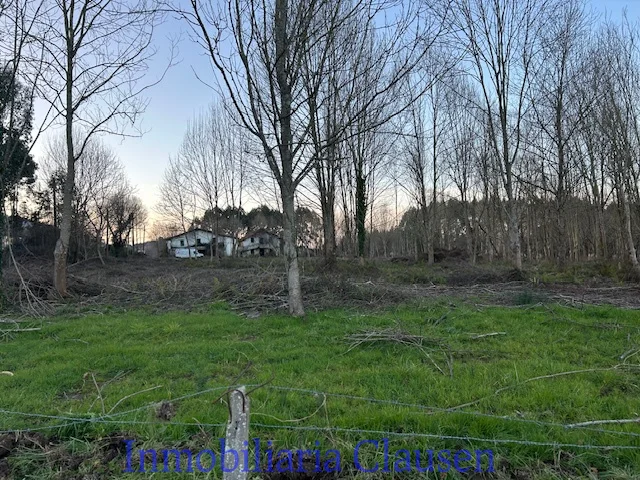 Gamiz-Fika rural estate, 36,463 m²