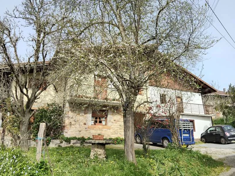 Large rehabilitation farmhouse near Gorbeia