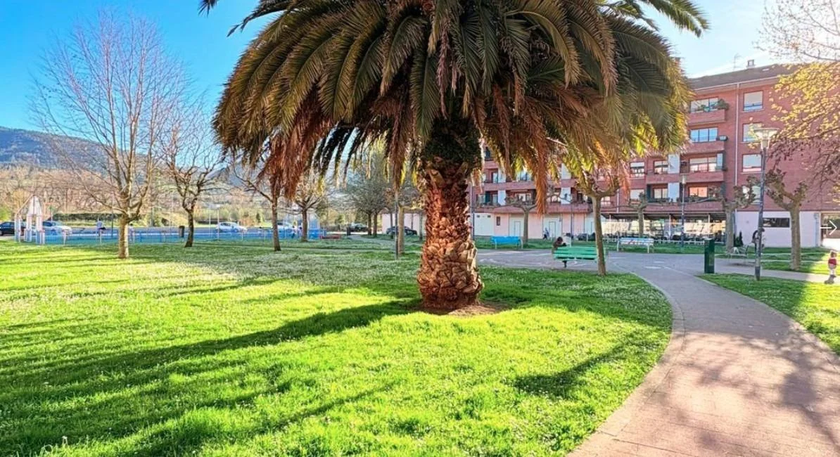 Corner commercial unit, 54 m², Zalla