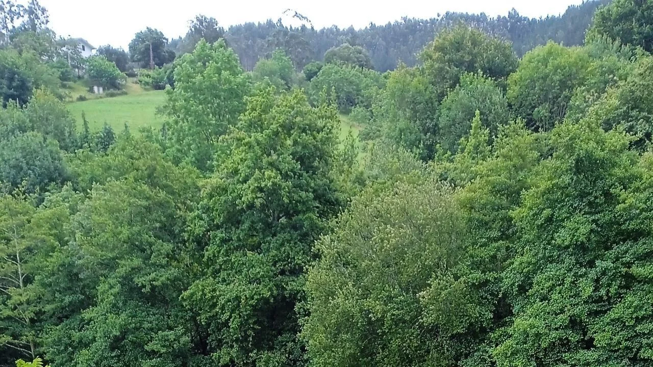 Terreno urbano en Gizaburuaga, 7.700 m²