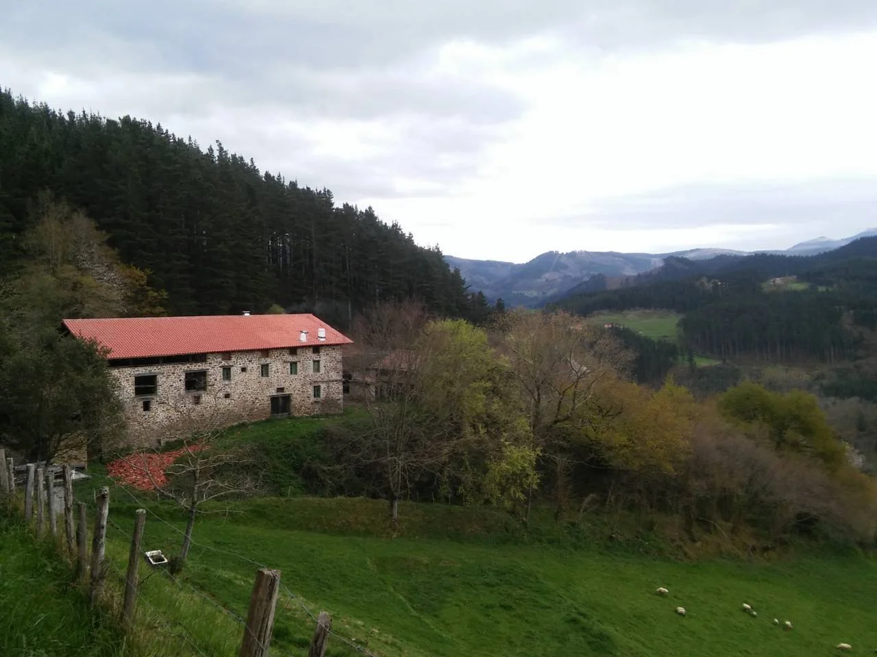 Caserío para reformar con 16.000 m² de terreno