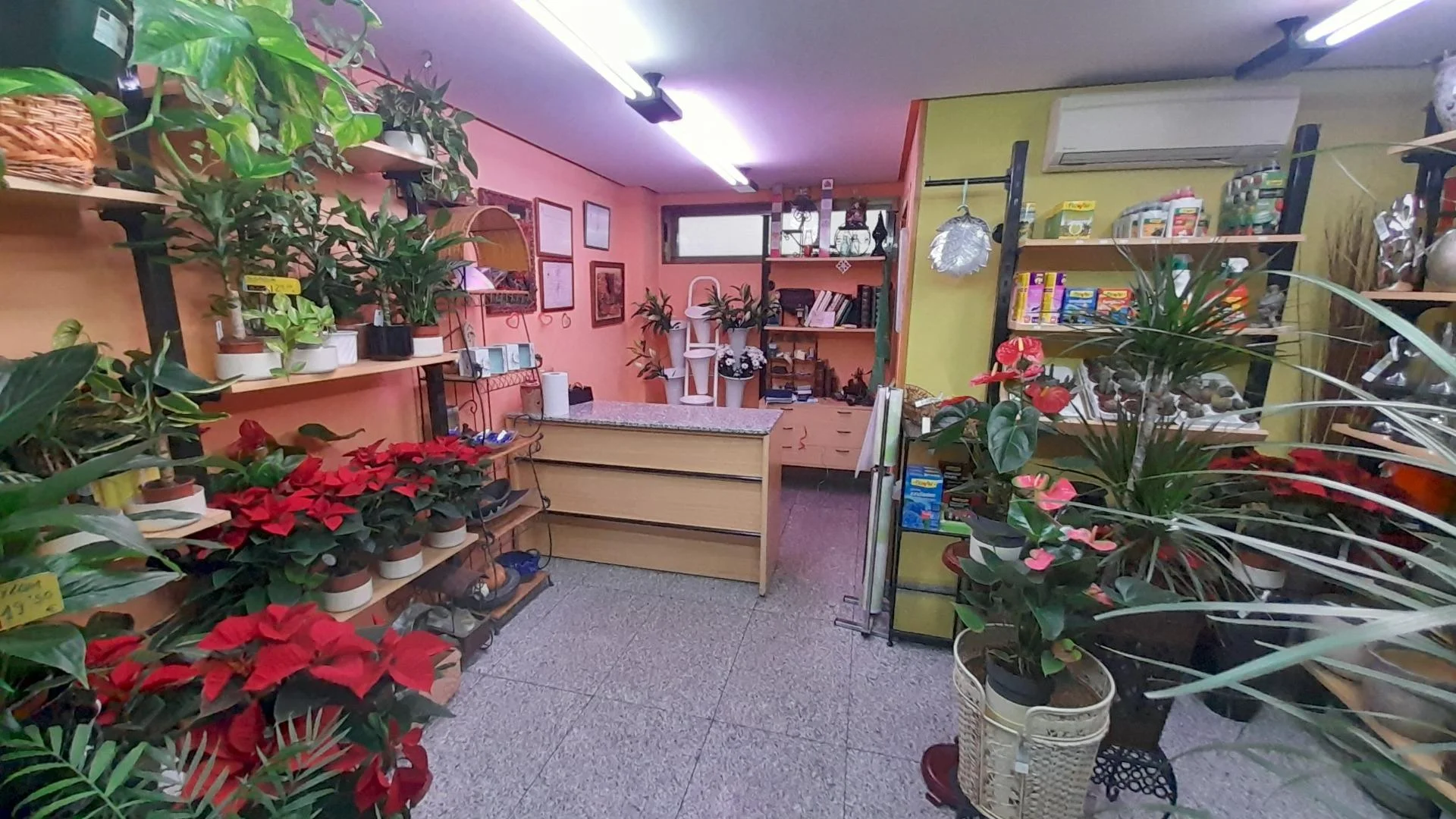 Street-front florist premises, 60 m²