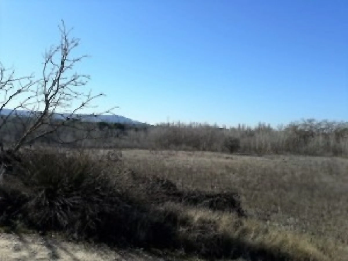 Rural plot in Tudela, 7,552 m²