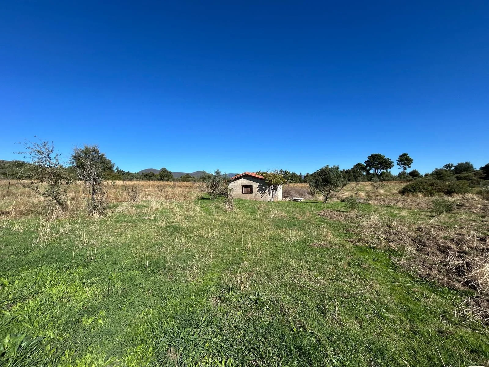 Level building plot near Hoyos