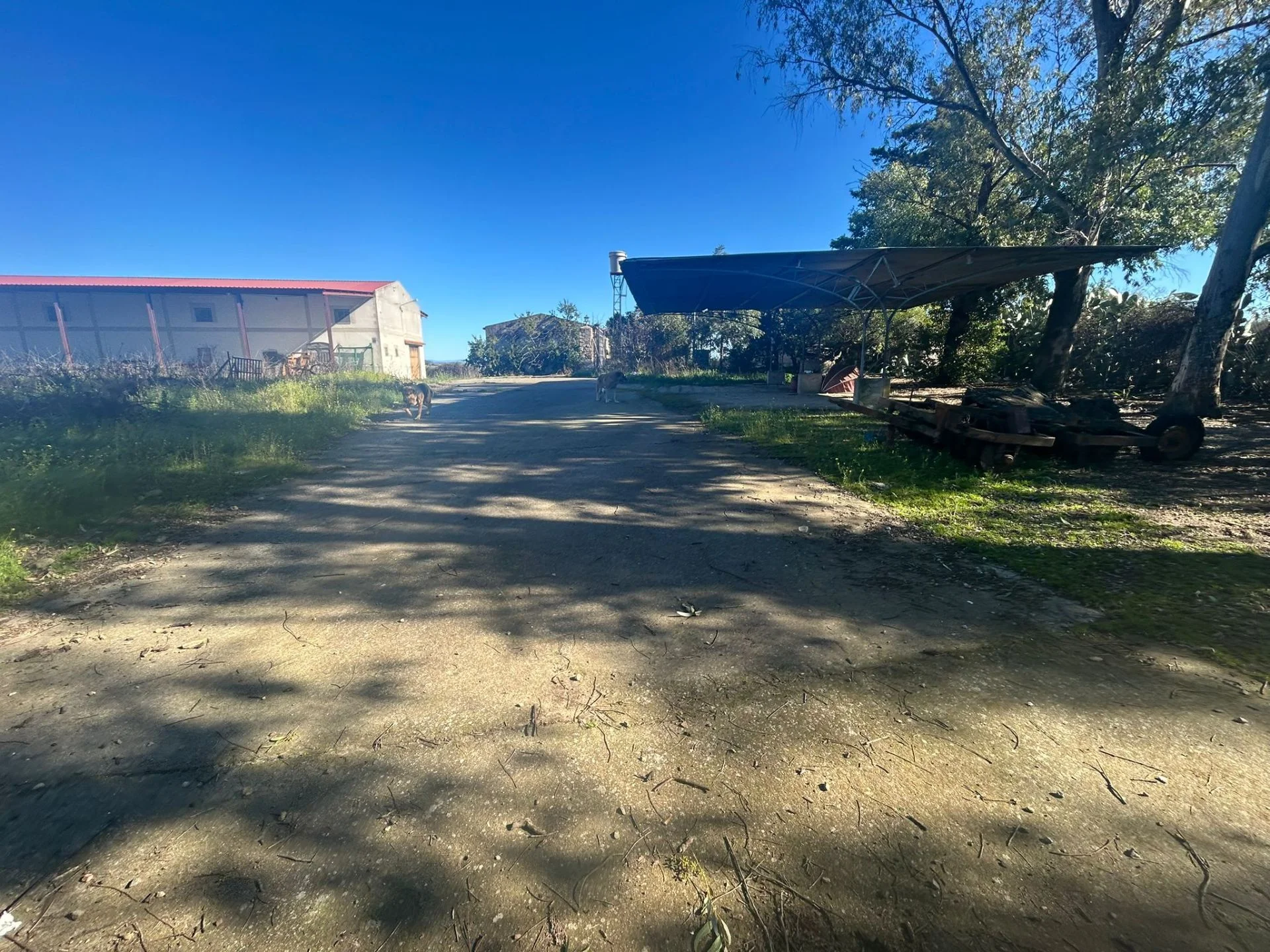 Rural estate with winery and vineyard