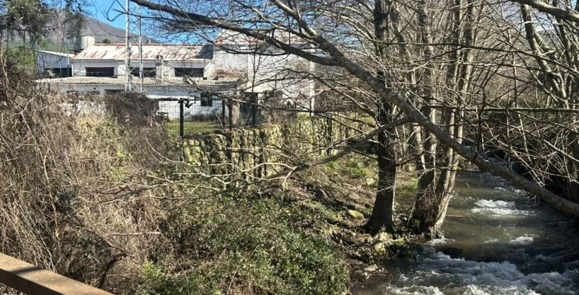 Olive farm with former oil mill