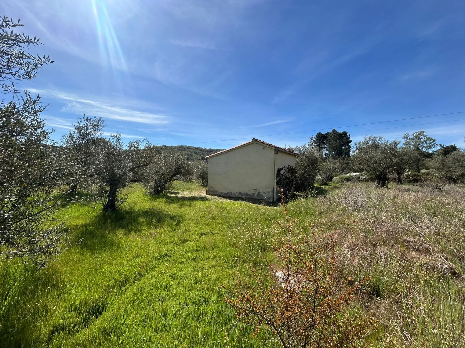 Fenced plot near Hoyos with orchard
