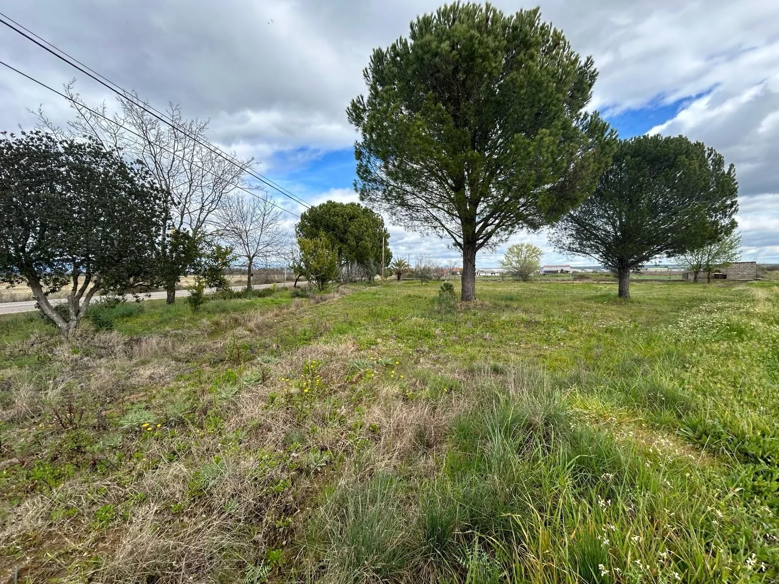 Fenced 2,765 m² plot near Moraleja