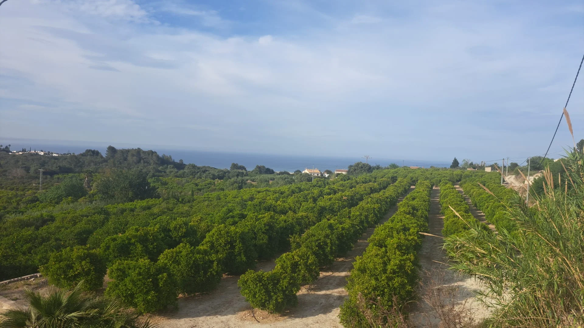 Flat rural plot with sea views