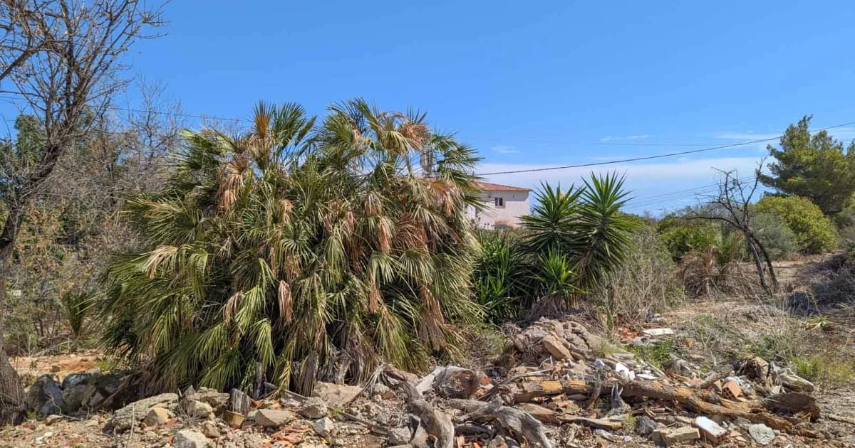 Urban plot in Dénia, 1,240 m²