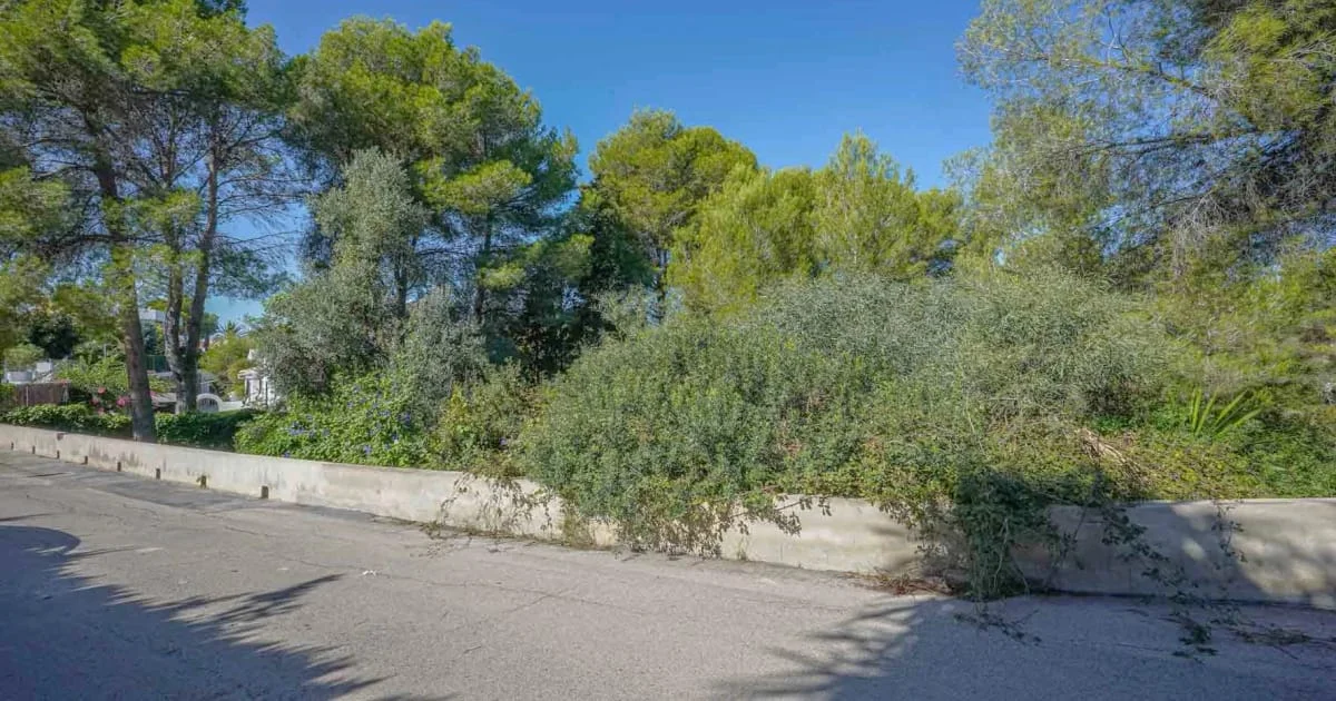 Parcela en Portichol con 600 m² edificables